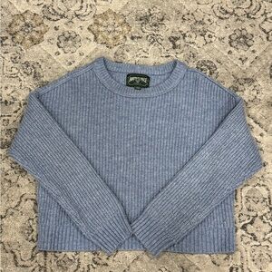 Light Blue American Eagle Cropped Crewneck